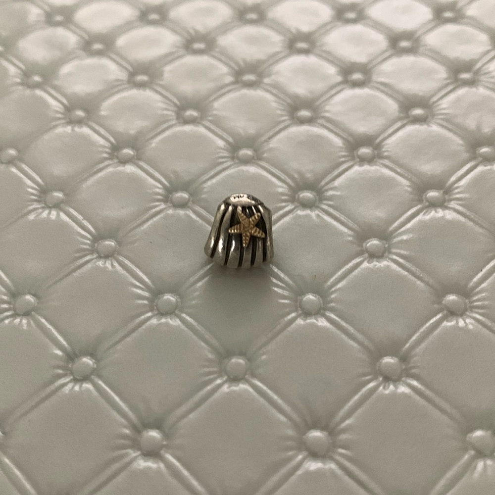 Pandora Charm
